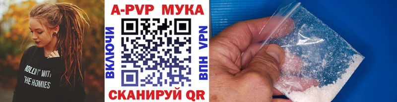Alfa_PVP крисы CK  хочу наркоту  kraken ТОР  Тайга 