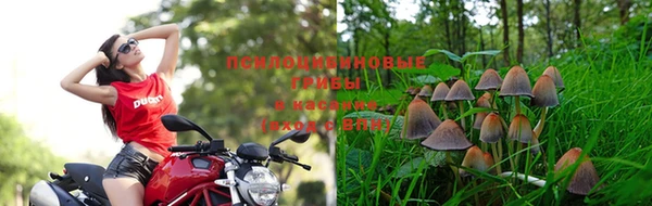 кокаин колумбия Дегтярск
